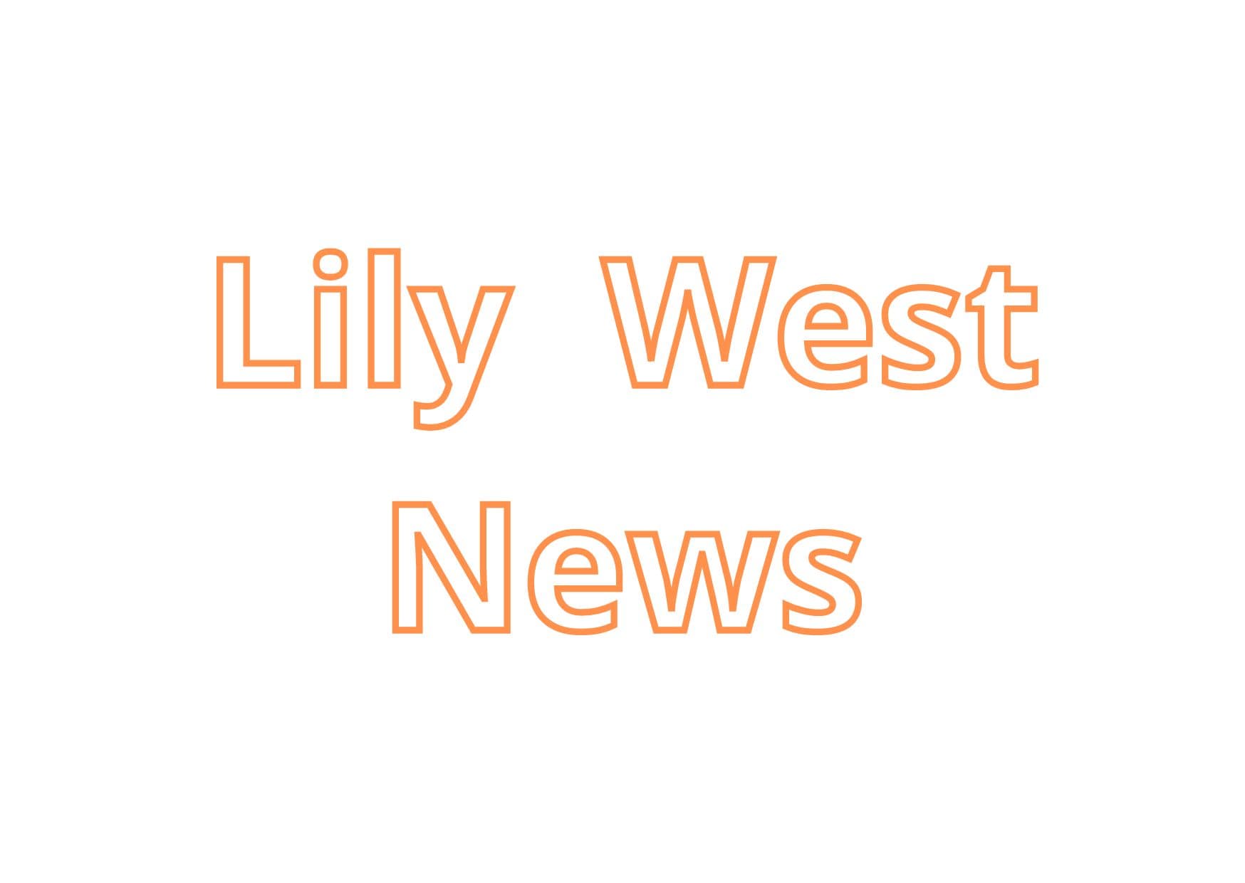 Lily West News vol.1 スタッフおすすめ商品のご紹介